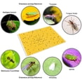 thumbnail image 5 of Paquete de 20 trampas adhesivas amarillas de doble cara para insectos de plantas voladoras como moscas blancas de hongos, áfidos, minadores de hojas, (9.8 x 7.8 pulgadas), 5 of 5