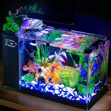 5 Gallon Fish Tank Glass Small Aquarium Starter Kits Self Cleaning with LED Light & Filter for Betta Shrimp Guppy Jellyfish Goldfish Beta,Room Decor Desktop, Gifts