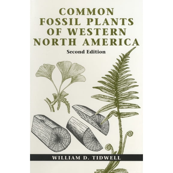 Common Fossil Plants of Western North America, Second Edition (Paperback)