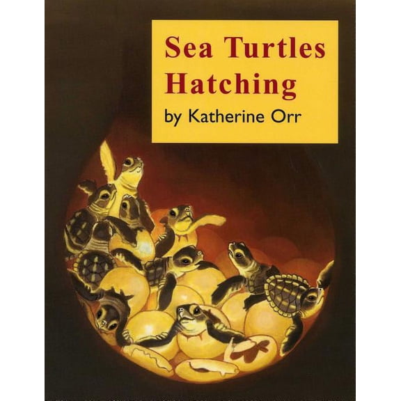 Sea Turtles Hatching (Paperback)
