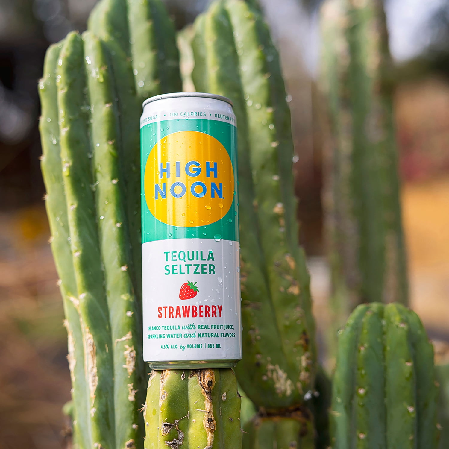 High Noon Tequila Hard Seltzer, Variety Pack, 8 Pack, 12 fl oz Cans, 4.5% ABV