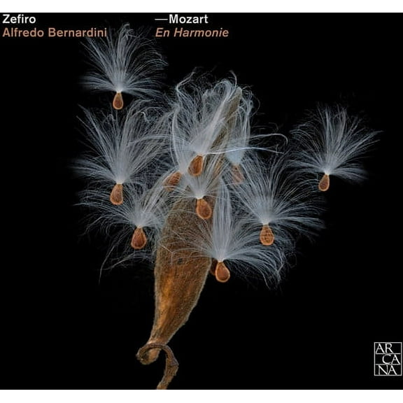 Classical Kids - En Harmonie - Music & Performance - CD