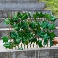 thumbnail image 3 of Fence Screening Hedges Expandable Fence Privacy Screen Artificial Leaf Screening Roll For Garden Patio Yard Balcony Home Decoration, 3 of 8
