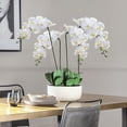 thumbnail image 3 of 3 piezas de tallos de orquídea artificial MENGJIAQI orquídeas de gran flor blanca 37 pulgadas, 3 of 7