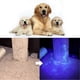 thumbnail image 5 of Pet Urine Detector Light Handheld UV Black Light Flashlight Portable Dog Cat Urine Carpet Detec, 5 of 5