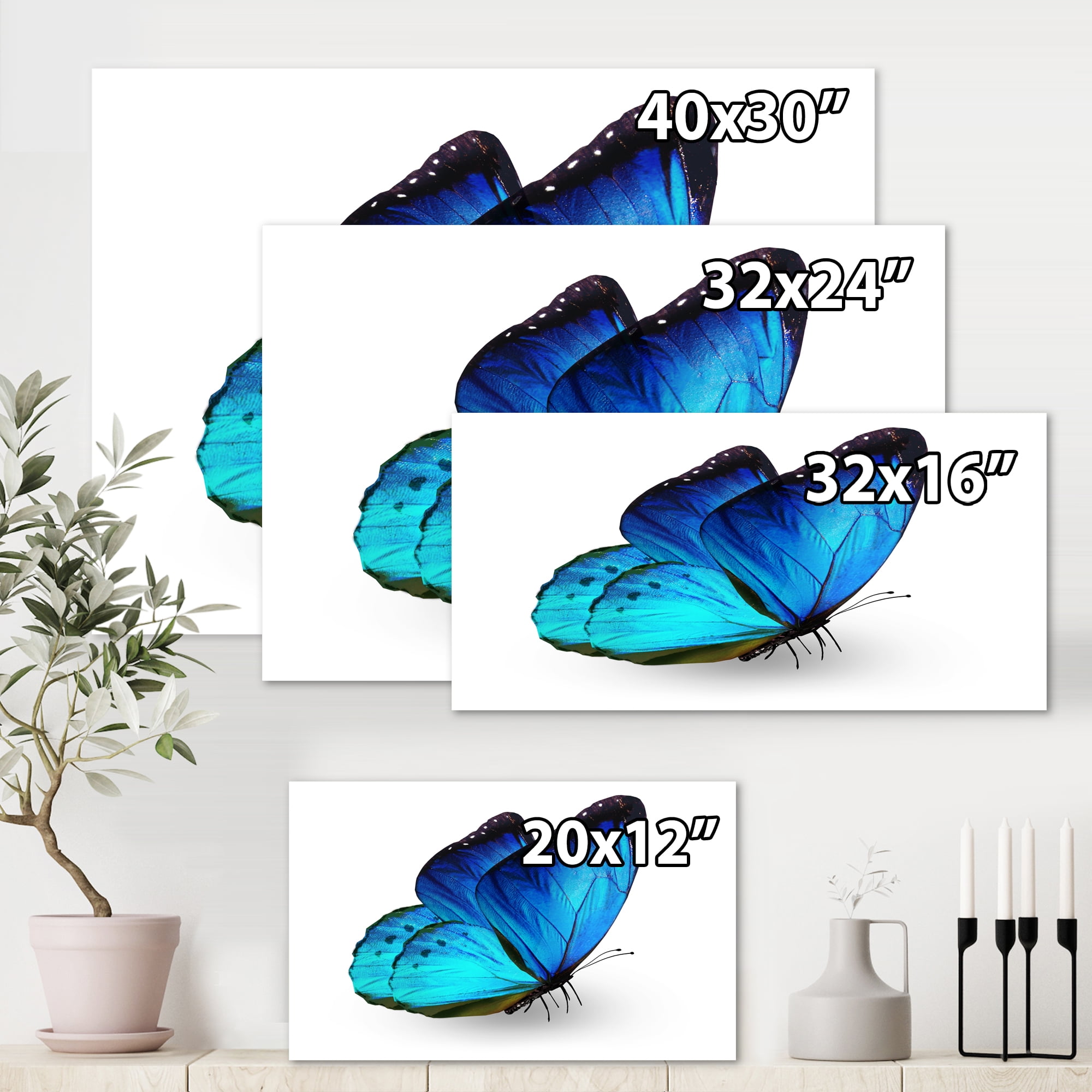 Designart ' Close Up Of Vibrant Blue Butterfly On White ' Modern Canvas Wall Art Print