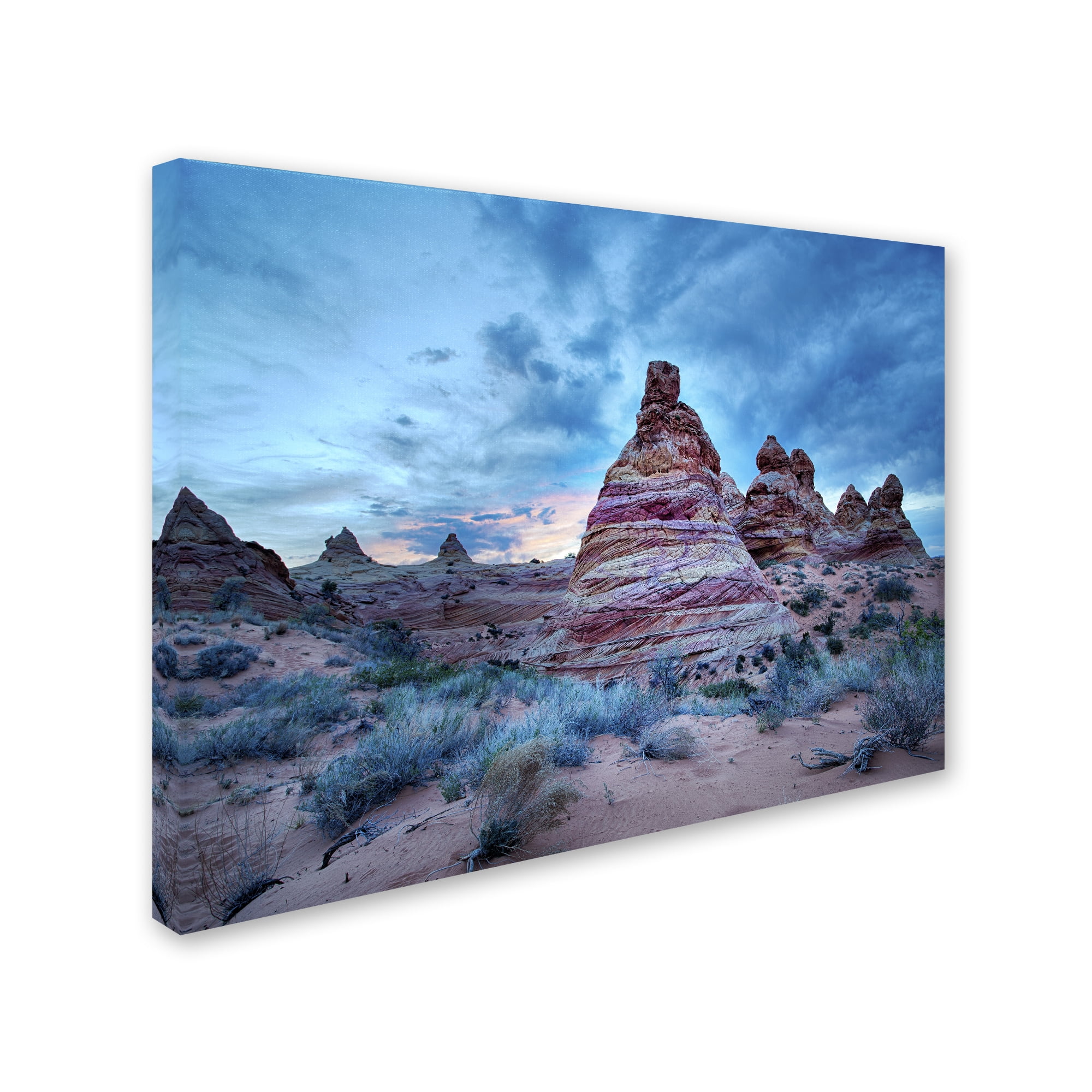 Trademark Fine Art "Cottonwood I" Canvas Art by Moises Levy
