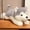 gray, variant on Lying Husky Plush Pillow, Soft Fluffy Dog Stuffed Animal for Kids & Home Decor