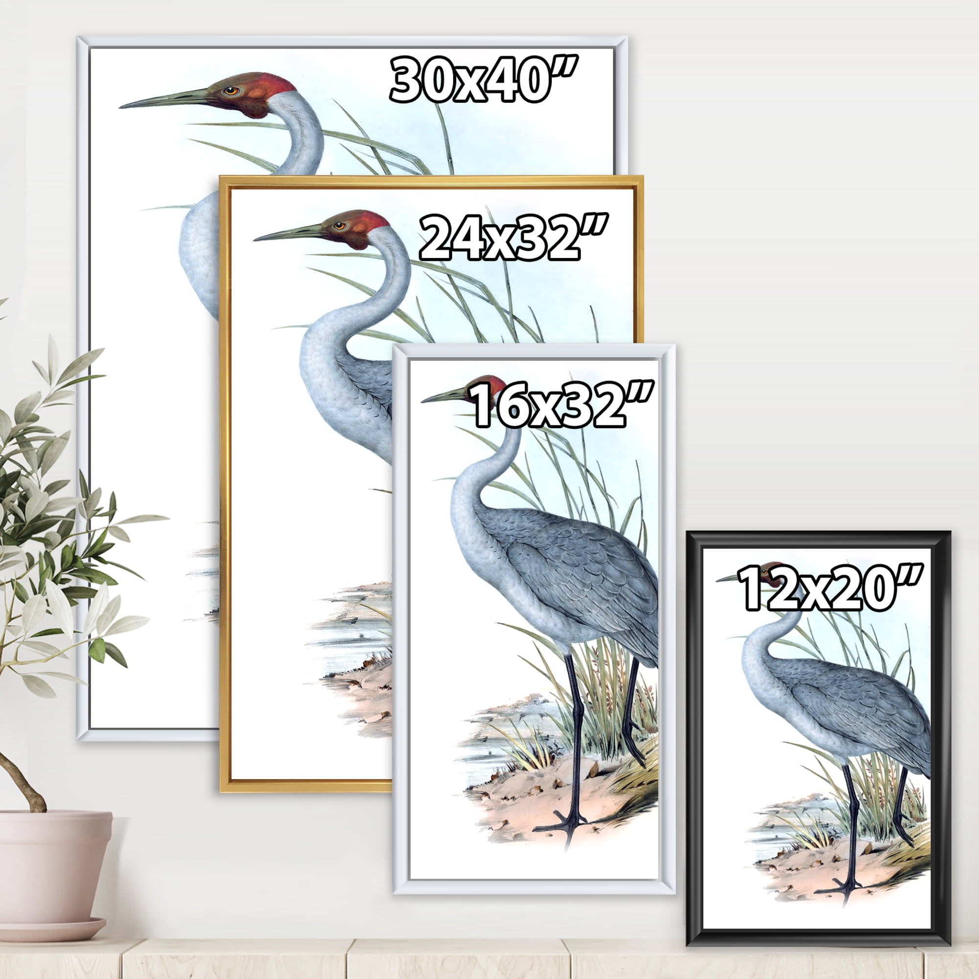 Designart 'Ancient Australian Birds V' Traditional Framed Canvas Wall Art Print