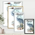 thumbnail image 4 of Designart 'Ancient Australian Birds V' Traditional Framed Canvas Wall Art Print, 4 of 5