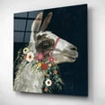 thumbnail image 2 of Epic Art 'Lovely Llama I' by Victoria Borges, Acrylic Glass Wall Art, 12"x12", 2 of 8