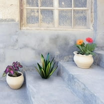 Mlkoz Home Decoration Clearance, Tequila Iron Crafts Plant Garden Garden Ornament, Men Gifts