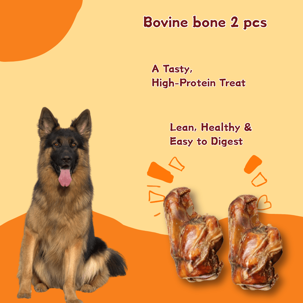 Tender Touch All-Natural Beef Knuckle Bones for Dogs, A Whole and Hearty Single Ingredient Chew for Dental Care and Entertainment, 6 Count