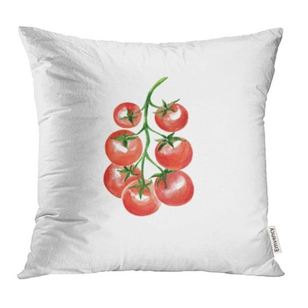 CMFUN Colorful Watercolor Cherry Tomato Organic Food Vegetarian Ingredient Green Artistic Pillowcase Cushion Cover 16x16 (Best Way To Peel Cherry Tomatoes)