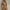 Gold, variant on Ichuanyi Women Swimsuit Fashion Women Sexy Stitching Irregular Strap One-Piece Swimsuit Halter Bikini