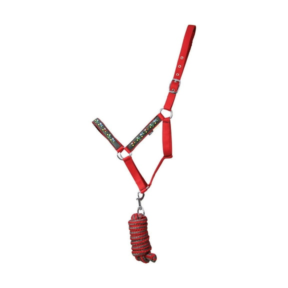 Little Knight Horse Halter and Leadrope Set