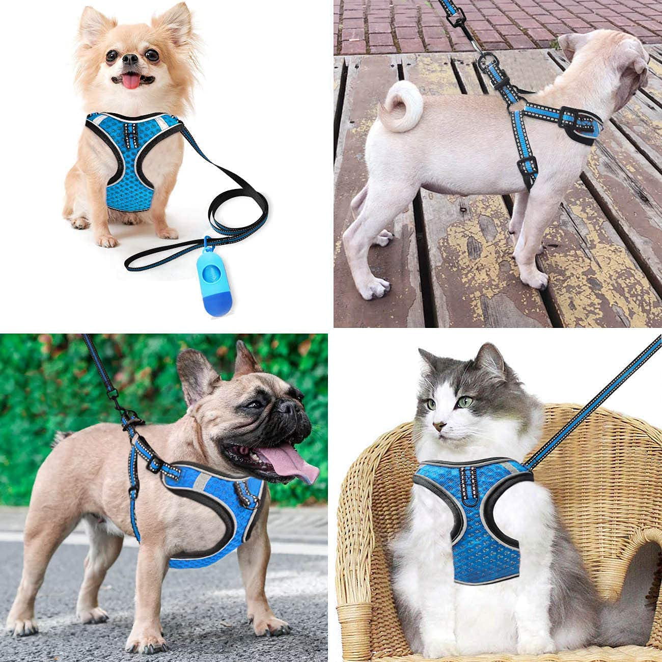 Btromeshy Step-in Dog Harness,Small Dog Harness and Leash Set,Adjustable 3M Reflective Pet Dog Vest for Puppy,Soft Air Mesh Step-in Harness for Small Medium Breed 