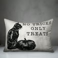 thumbnail image 3 of Creative Products No Tricks Only Treats Cat 20 x 14 Spun Poly Pillow, 3 of 3