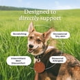 thumbnail image 6 of PetLab Co. Salmon Itch Relief Chew Pro for Dogs – Omega 3 for Dogs Itch Supplement - Packed with Beneficial Fatty Acids for Healthy Skin – Seasonal Allergies Support - Packaging May Vary, 6 of 8