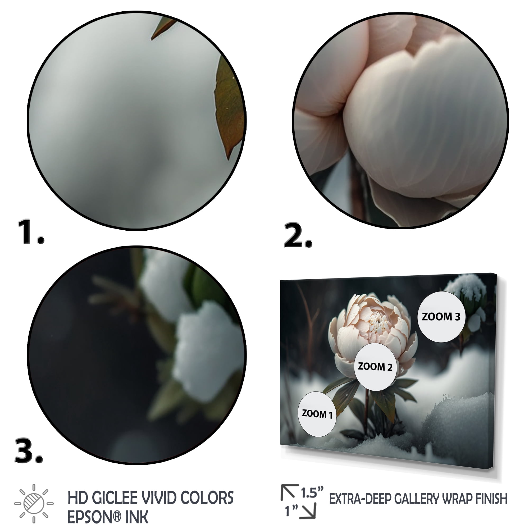 Designart A Blooming White Peony Flower In Winter I Canvas Wall Art