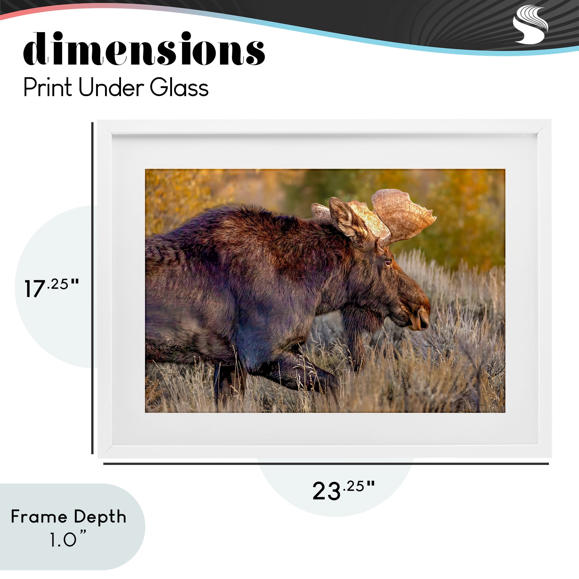 Stupell Industries Bull Moose At Dusk White Framed Print Under Glass, design by Shelley Carlisle