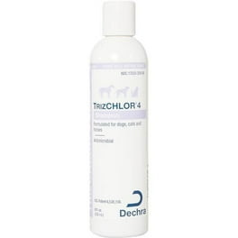 What Is Trizchlor Shampoo Used For TrizCHLOR Mousse Dechra