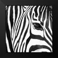 thumbnail image 2 of Michal, Susan 20x20 Black Modern Framed Museum Art Print Titled - Zebra Up Close, 2 of 5