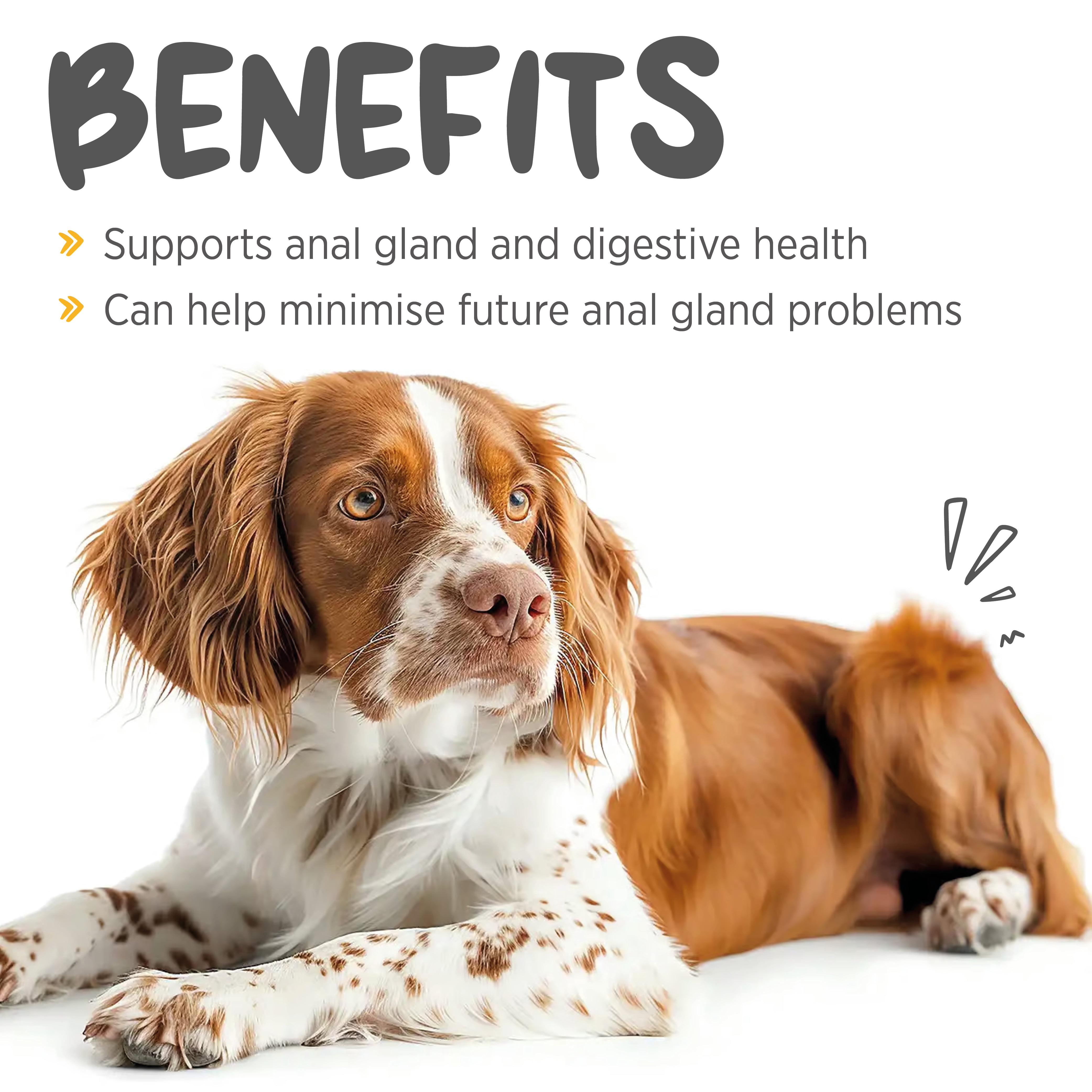 maxxipaws maxxiscoot Anal Gland & Digestive Health Support for Dogs - Powder Supplement, 5oz