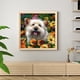 thumbnail image 5 of Cuadros Decorativos Diamante pintura Daisy perro completo redondo taladro imagen de diamantes de imitación DIY dibujo Ndcxsfigh Nuevos Originales, 5 of 8