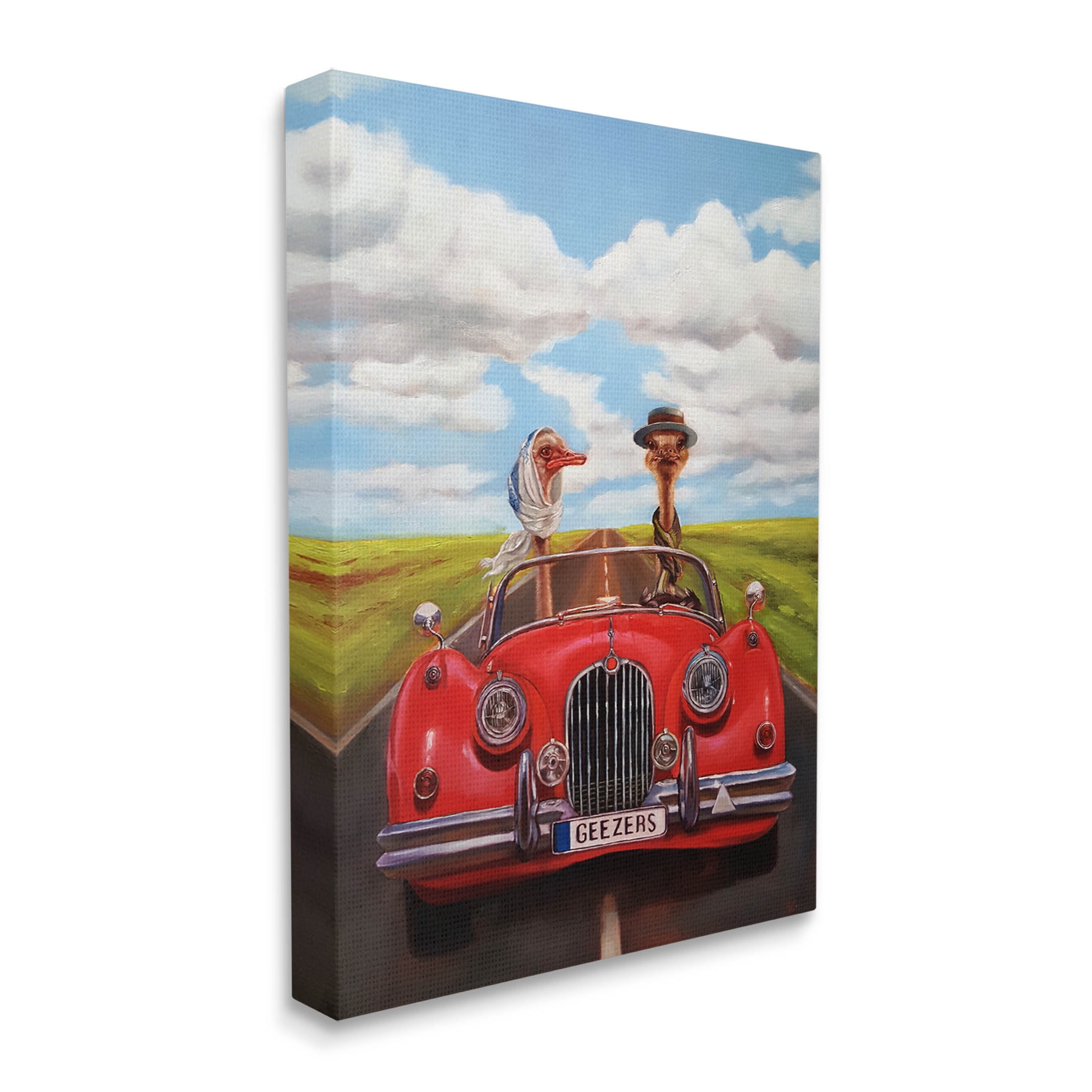 Stupell Industries Ostrich Couple Geezers Convertible Painting Gallery Wrapped Canvas Print Wall Art, Design by Lucia Heffernan