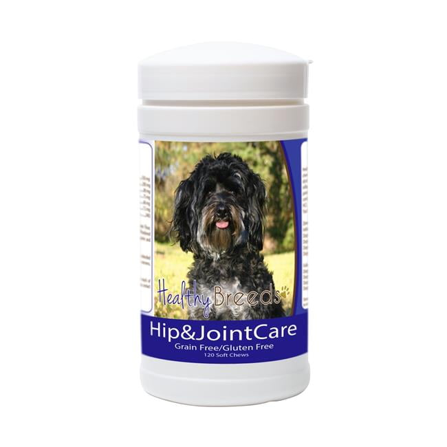 maltipoo hip dysplasia