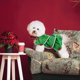 thumbnail image 3 of Traje de perro, disfraz de árbol de Navidad, traje navideño verde, suéter para mascota con hebilla, jersey navideño para cachorro y gato, ropa cálida para perro de Año Nuevo (M), 3 of 5