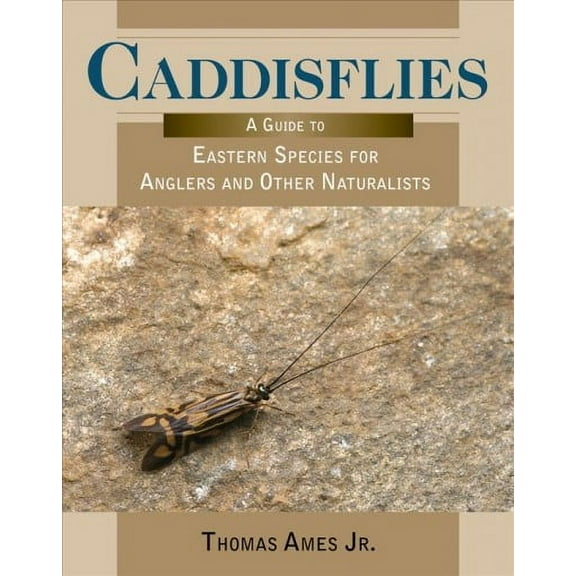 Caddisflies : A Guide to Eastern Species for Anglers and Other Naturalists (Paperback)