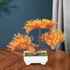 thumbnail image 4 of bonsái falso,bonsái artificial decoración de mesa decoración de jardín,árbol plantas planta falsa pino pequeña oficina en casa,Pequeño árbol de bonsái artificial decoración de, 4 of 8
