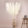 thumbnail image 4 of 10pcs 40'' Pampas Grass Tall Decor - Pompas Floral, Tall Pampas Grass for Floor Vases, Living Room Floor, Floor Plants, Plumas para, and Grass Wall Decor, 4 of 7