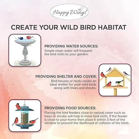 Happy Wings Shelled Peanuts Seeds Wild Bird Food - 5 Pounds I No Grow Seed I Bird Seed for Wild Birds