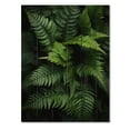 thumbnail image 3 of Designart "Ferns Plant Monochrome Euphony I" Floral & Botanical Print on Natural Pine Wood, 3 of 5