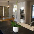 thumbnail image 3 of Element by Altman Plants 18-30" White Orchid - Modern Pot - Pet Safe - Easy Live Plant - Partial Sun, 3 of 9