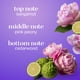 thumbnail image 3 of Spray corporal Body Fantasies Romance & Dreams, 240 ml (paquete de 2), 3 of 9
