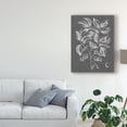 thumbnail image 3 of Trademark Fine Art 'Graphic Foliage V' Canvas Art by Vision Studio, 3 of 4