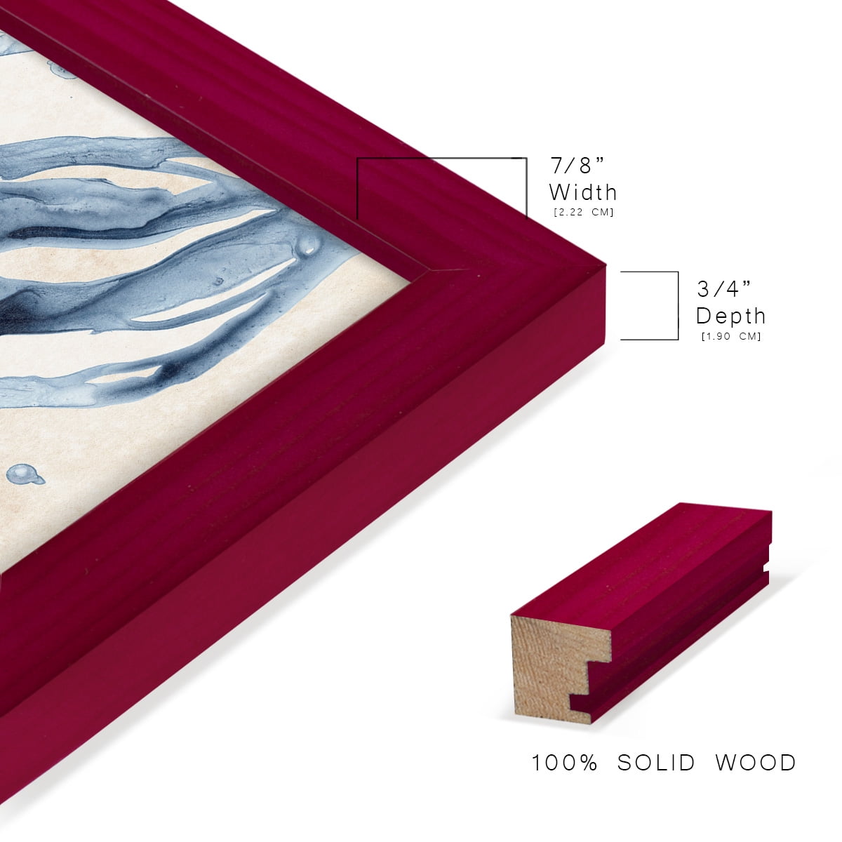 Water Shells II - Framed Print w/glass - Cherry Red