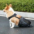 thumbnail image 4 of CSChome Pet Belt Dog Support Harness Wear Resistant Zipper Design Quick Release Puppy Belt Leg Protector, 4 of 6