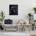 thumbnail image 3 of Stupell Industries Black Stallion Portrait Animals & Insects Photography Black Floater Framed Canvas Art Print Wall Art, 25 x 31, 3 of 10