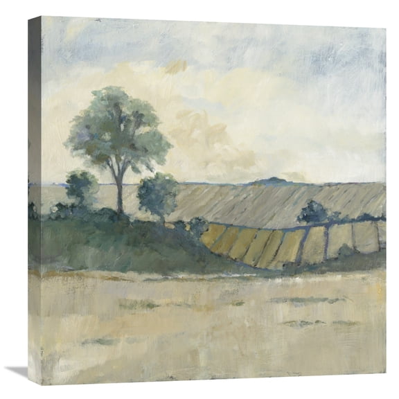 Global Gallery Avery Tillmon 'Fields Before the Storm' Canvas Wall Art