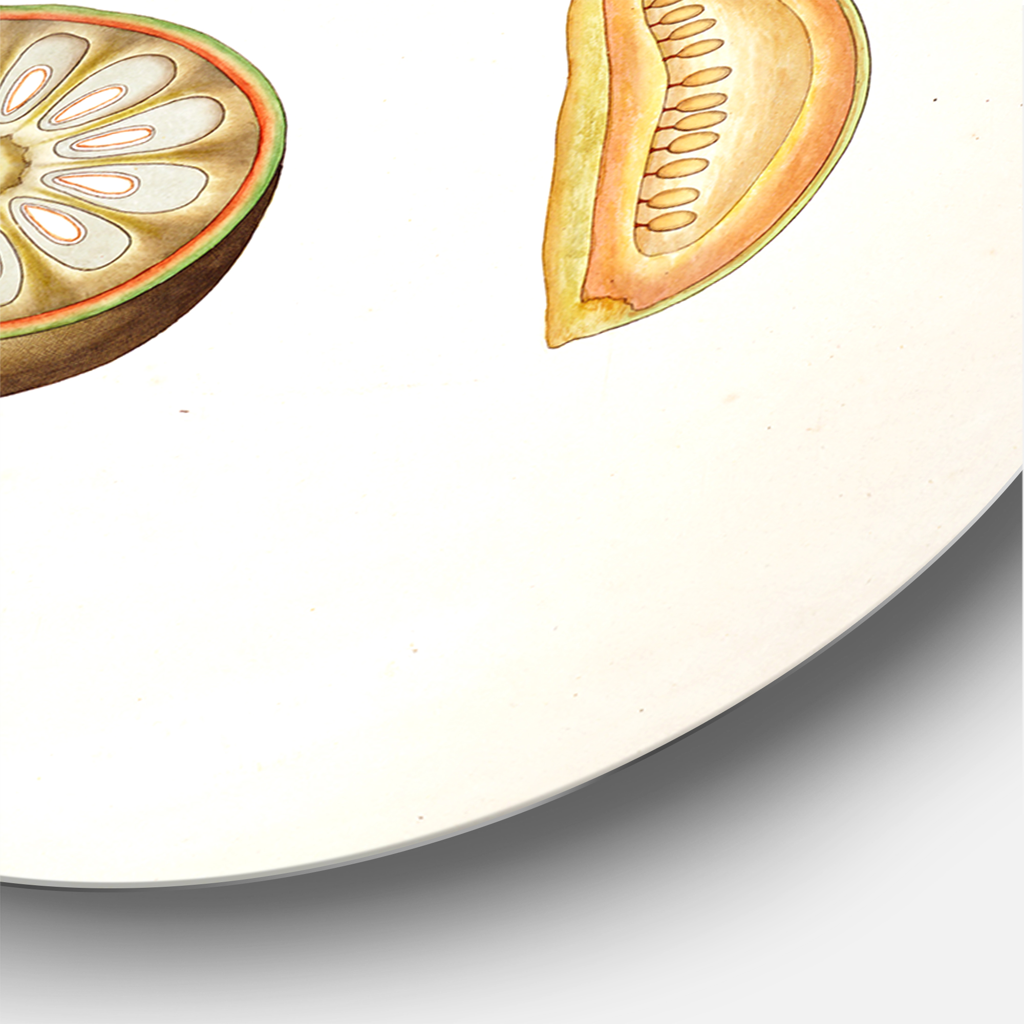 Designart 'Ancient Plant Life X' Farmhouse Circle Metal Wall Art 23x23 - Disc of 23
