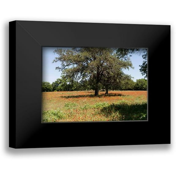 Highsmith, Carol 14x11 Black Modern Framed Museum Art Print Titled - Shade trees and wildflowers on the LBJ Ranch, near Stonewall in the Texas Hill Country