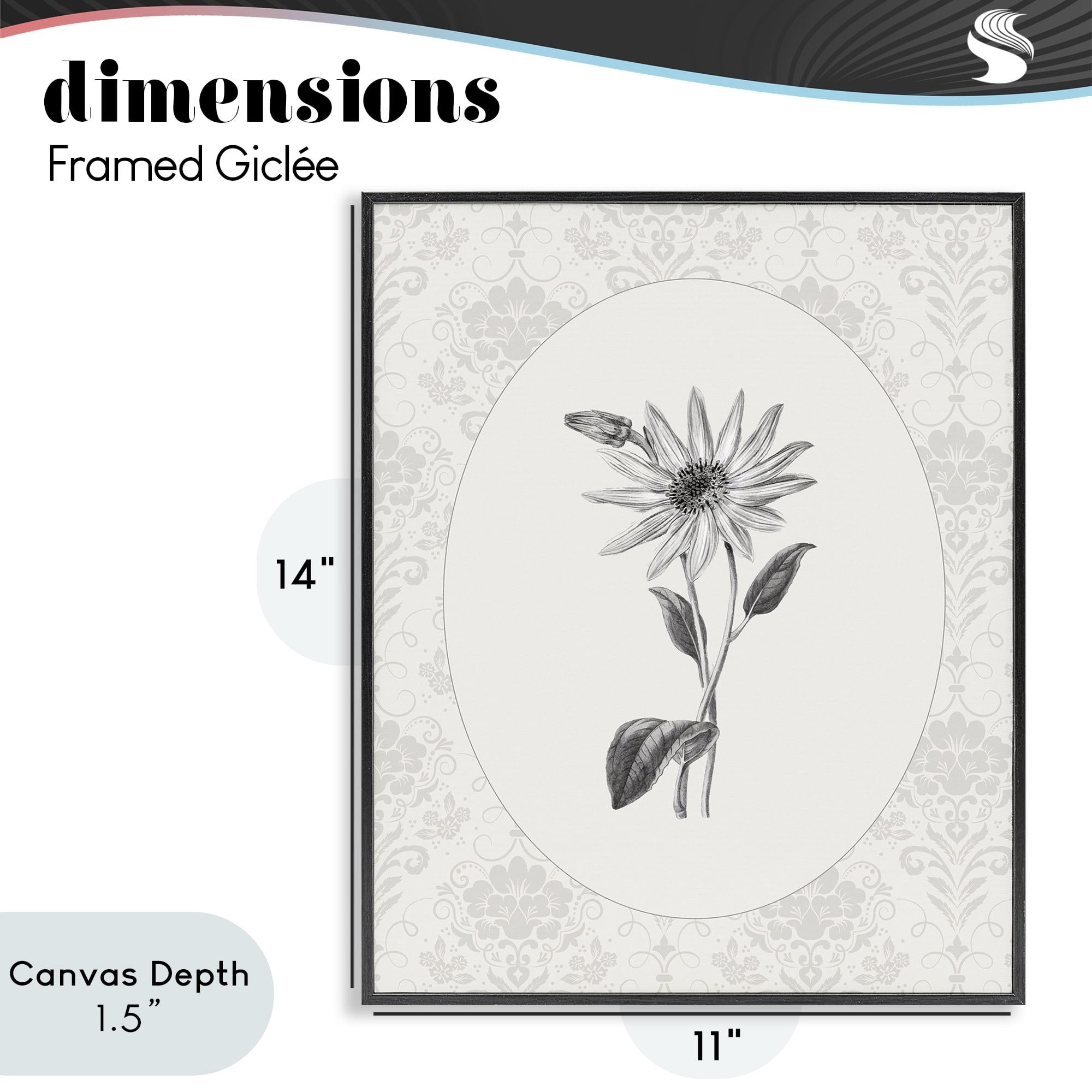 Stupell Industries Antique Botanical & Lace Black Framed Giclee Art, design by CAD Designs