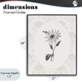 thumbnail image 4 of Stupell Industries French Country Antique Botanical & Lace Black Framed Giclee Art, 11 x 14, by CAD Designs, 4 of 8