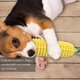 thumbnail image 2 of Cepillo de dientes para cachorros para limpiar los dientes, juguetes para perros que chirrían/no chirrían, juguetes interactivos de maíz, juguetes para perros, masticadores agresiv, 2 of 5