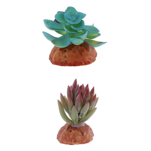 2 piezas de acuario, plantas de pecera, suculentas, , decoración de escondite, adorno de jaula de terrario de